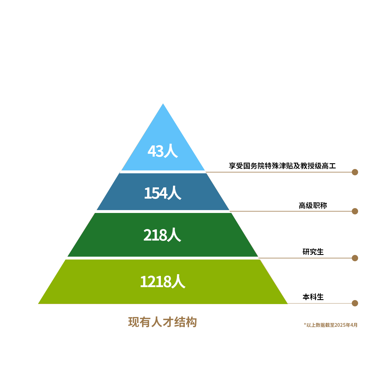 人才结构.png